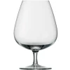 Degrenne Anytime Transparent
